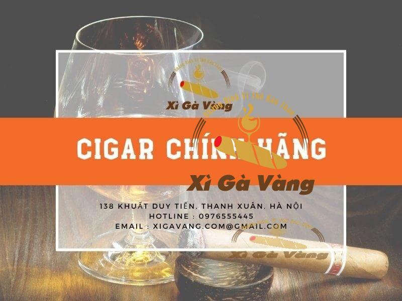 Xì Gà Vàng - Địa chỉ mua cigar uy tín, chất lượng